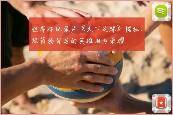 世界杯纪录片《天下足球》揭秘:绿茵场背后的英雄泪与荣耀