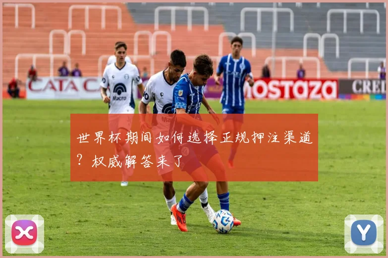 世界杯期间如何选择正规押注渠道？权威解答来了