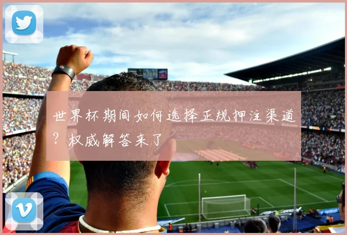 世界杯期间如何选择正规押注渠道？权威解答来了