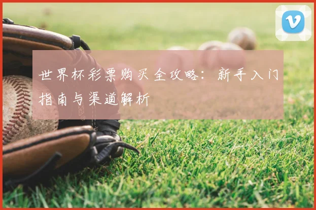 世界杯彩票购买全攻略：新手入门指南与渠道解析