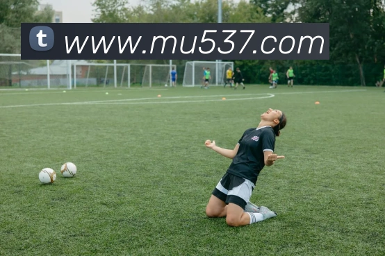 mksports网站APP 封面图